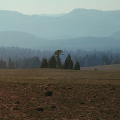 dirt