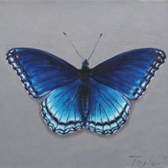 Michael Jackson - Butterflies (HD MIX)