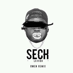 Sech - La Vida (ØWEN Remix)