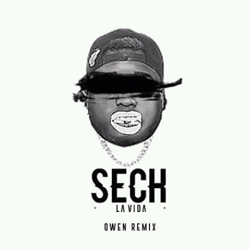 Stream Sech - La Vida (ØWEN Remix) by ØWEN | Listen online for free on  SoundCloud