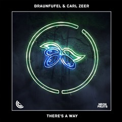 BRAUNFUFEL & Carl Zeer - There's A Way