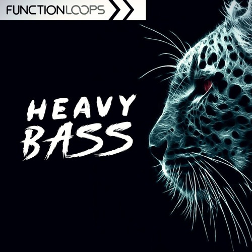Function Loops - Heavy Bass