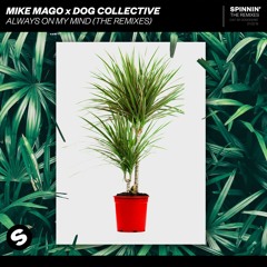 Mike Mago x Dog Collective - Always On My Mind (Nihil Young Remix) [OUT NOW]