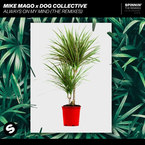 Mike Mago x Dog Collective - Always On My Mind (Mick Mazoo Remix) [OUT NOW]