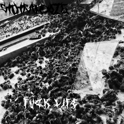 Destroy modus