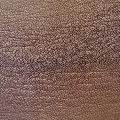 Cold Leather - By The Waters