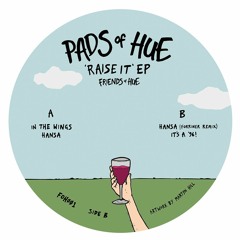 PREMIERE | Pads of Hue - Hansa (Forriner remix) [Friends of Hue]