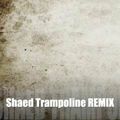 SHAED Trampoline REMIX by 'B'