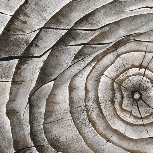 Burex - Ageless Hardship [Free Download]