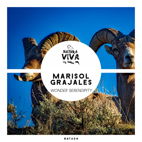 Stream Marisol Grajales Wonder Original Mix By Natura Viva Listen
