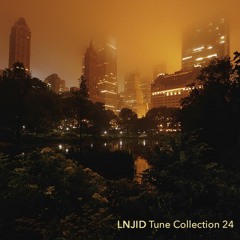 LNJID Tune Collection • 24