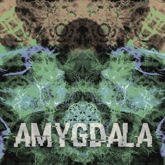 Amygdala [unmastered]