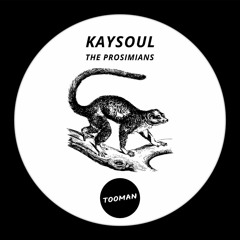 PREMIERE: KaySoul - The Prosimians (Dark Art Dub)[Tooman]