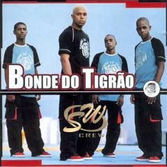 Fernando Malli Vs. Bonde do Tigrão - Cerol Na Mão(Andrade & Lyra Revival Mash) [Sale on Buy]