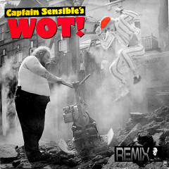 Captain Sensible - WOT (REMIX TiTi)