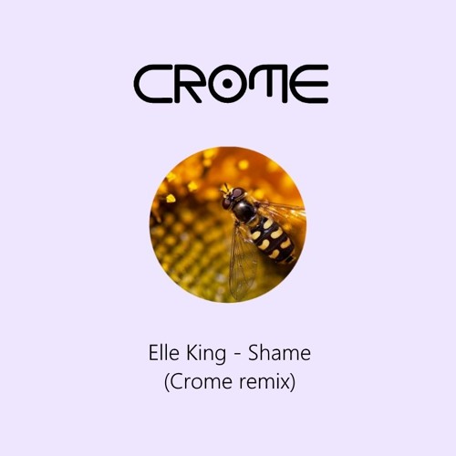 Shame ft. Elle King (remix)