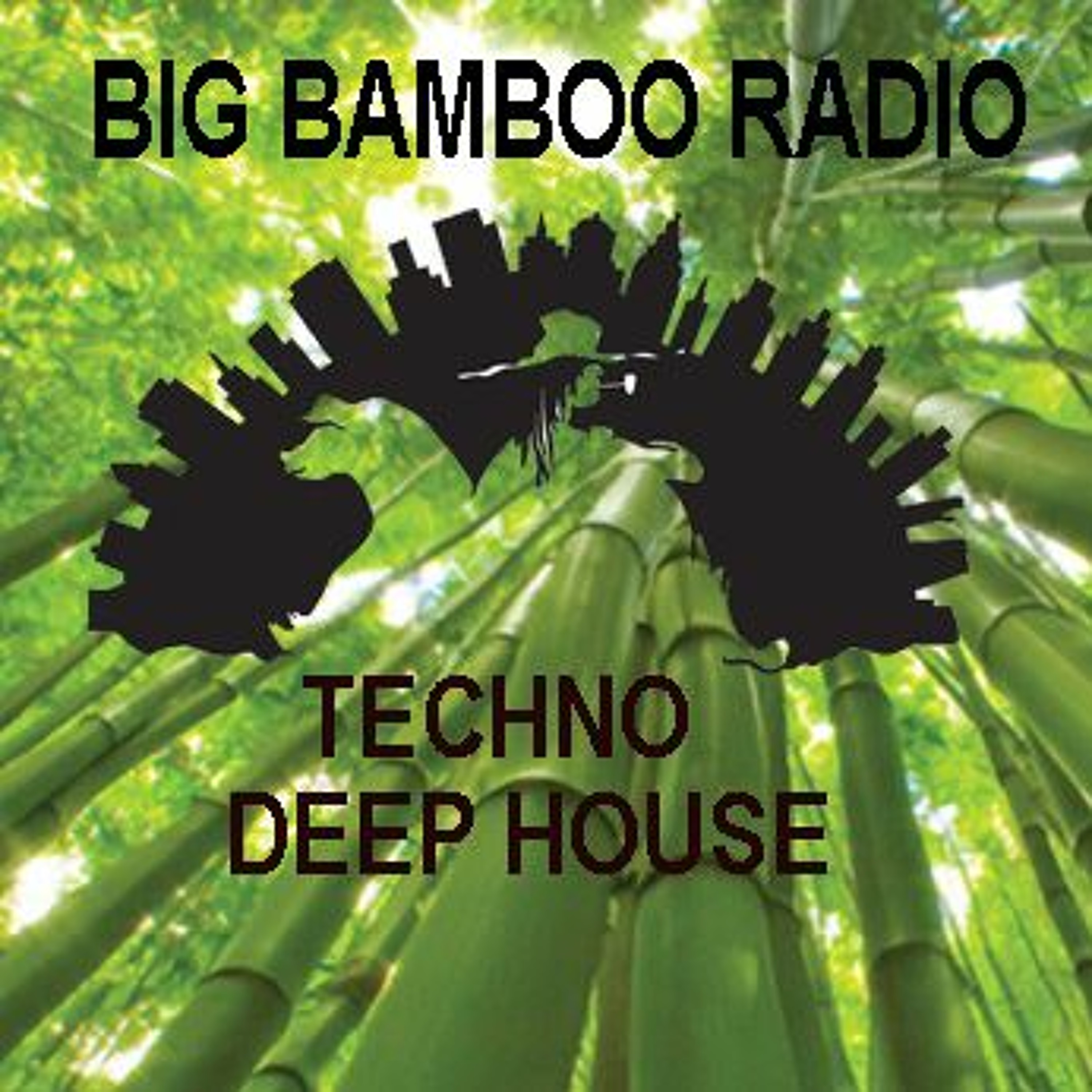 Hillbilly House Dj Tim Costa Radio Shows
