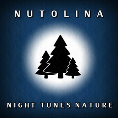 Night sounds / Night noises / Nature sounds