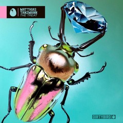 Matthias Tanzmann - Filthy [DIRTYBIRD}