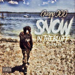 Kodack Freestyle Guopo900