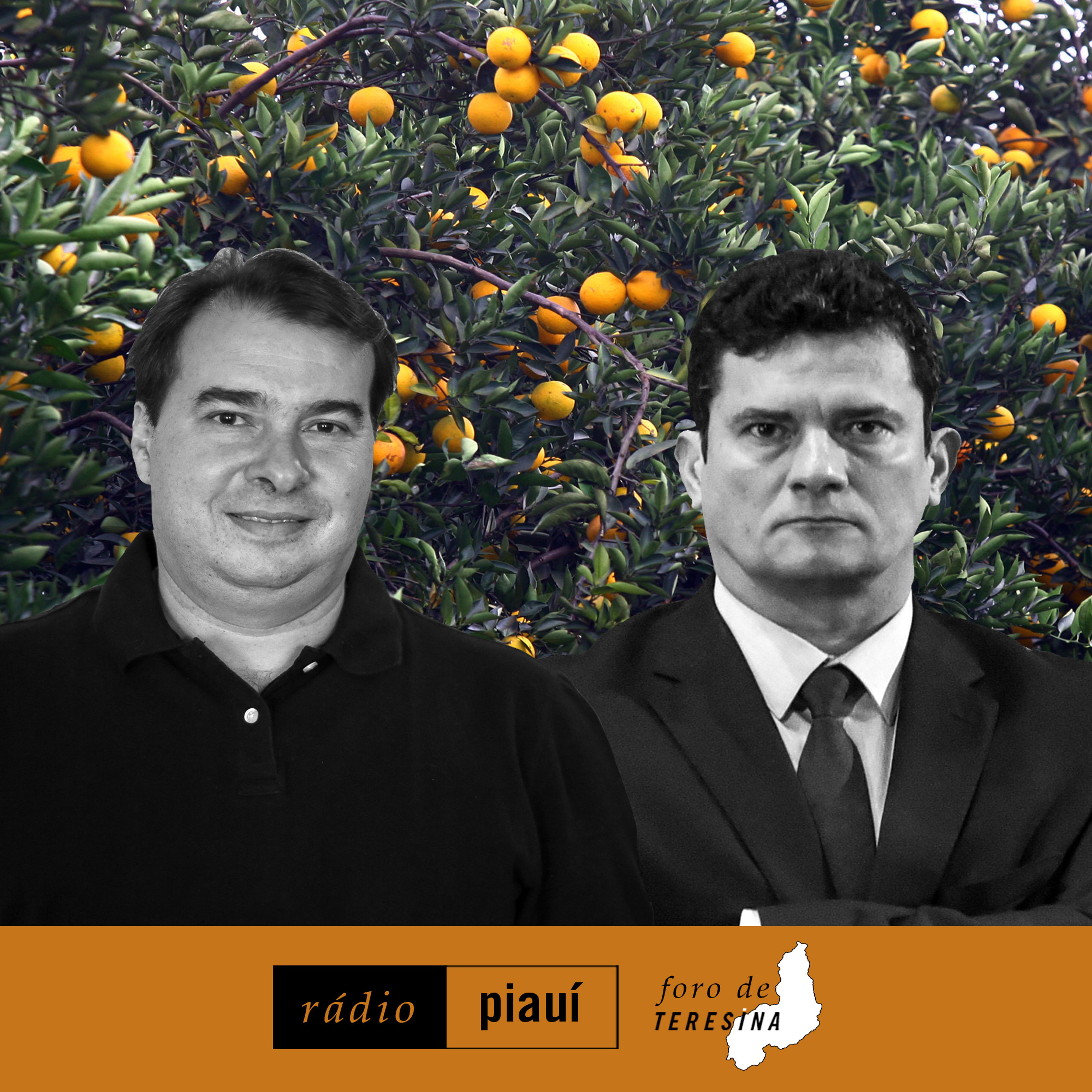 revista piauí