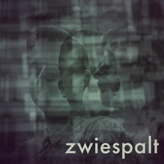 Grön Cykel - Zwiespalt