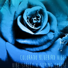 Colorado Bluebird Vibes - Vibe Street vs String Cheese