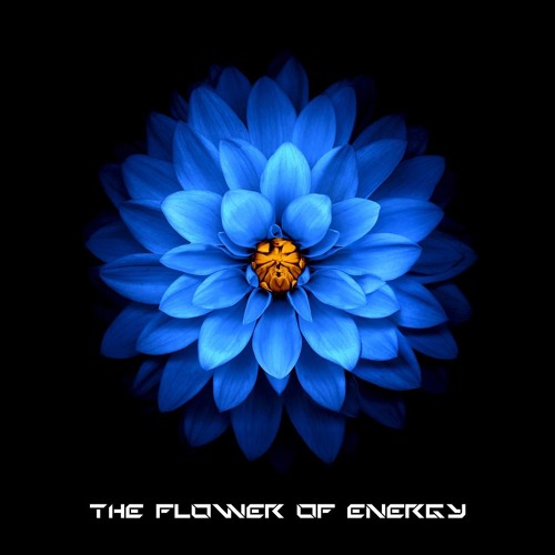 Stream The Flower of Energy by Don Vivace Listen online for free on