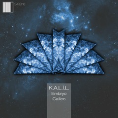 K.A.L.I.L. - Embryo (Original Mix) - OUT SOON - STEP4RECORDS