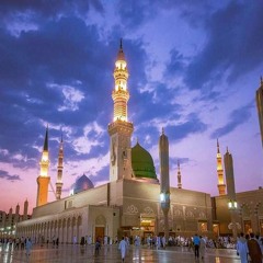 يا زائر الروضة لا تنسني وبالذكر عند النبي خصني