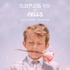 Zara Larsson Ruin My Life Fells And Sleepless Kid Remix Mp3
