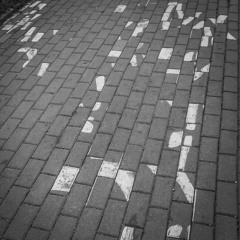 Antivapisators – Passkontrolle