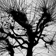 Antivapisators – Schengen