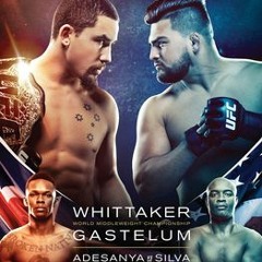 #258 - UFC 234: Whittaker vs Gastelum Edition of Half The Battle