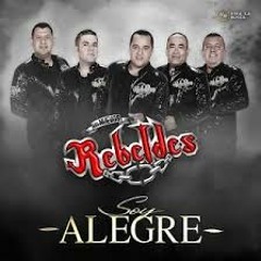 LOS NUEVOS REBELDES VOL 1