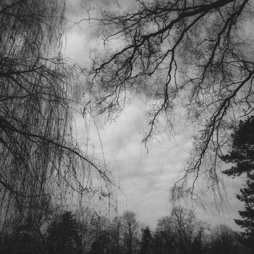Desolate