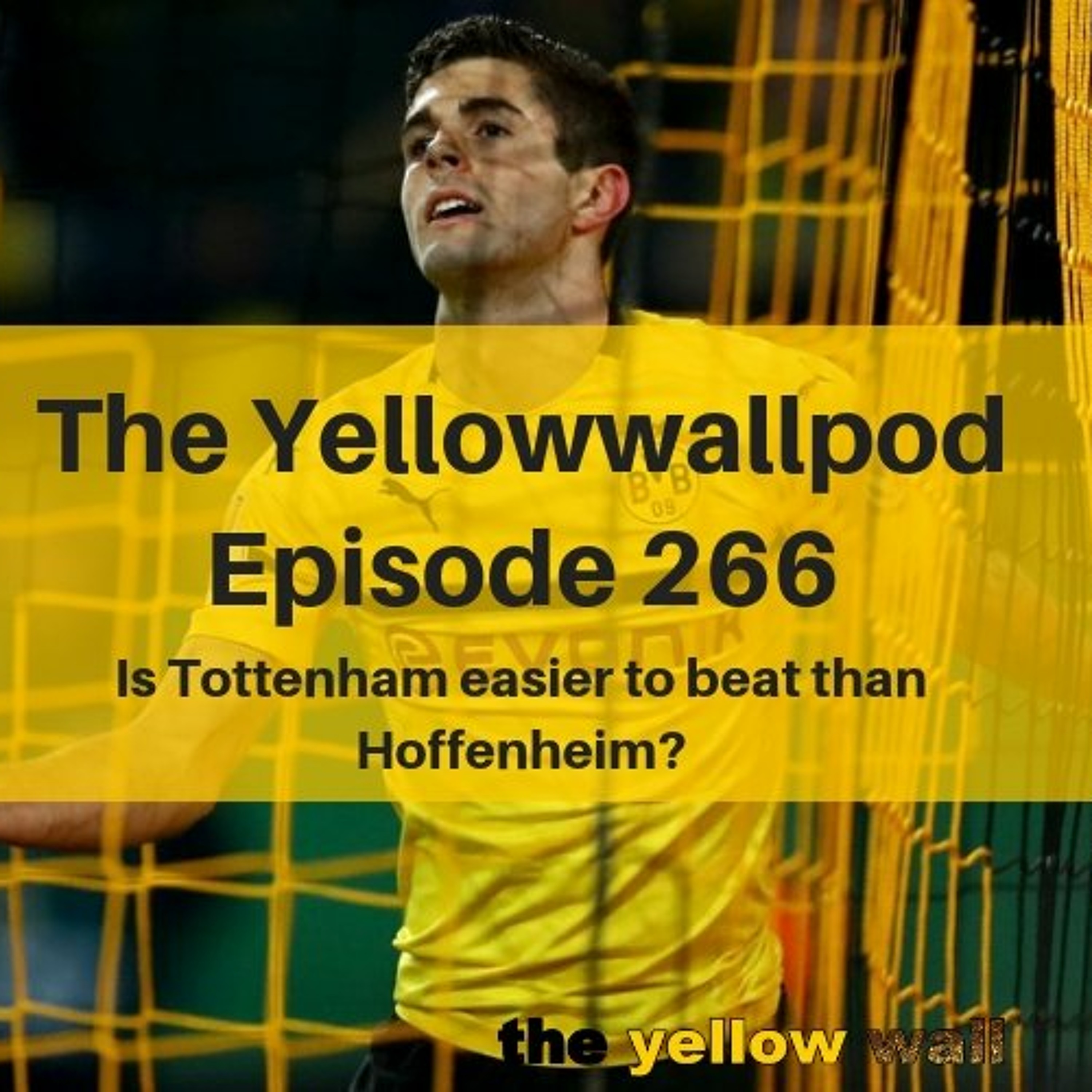 Yellowwallpod