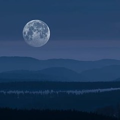 The Silent Moon Rises