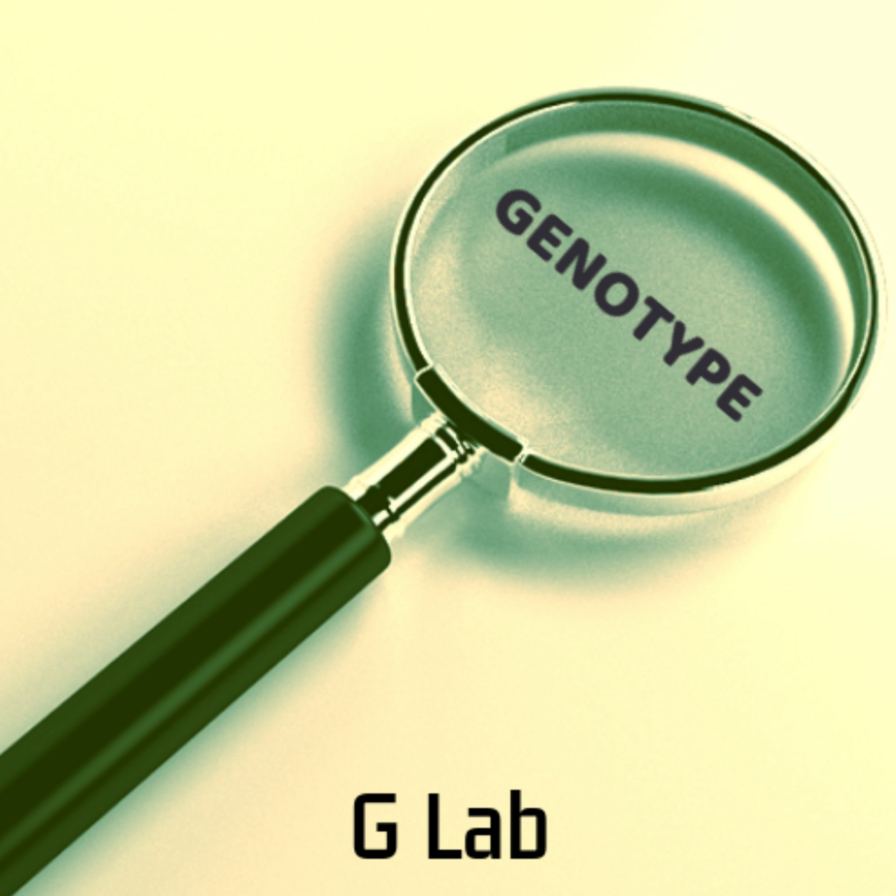 Genotype - Magnify EP - G Lab (0UT NOW) episode artwork