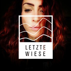 FELIDAE @ Die Letzte Wiese NYE - Mellow Park Berlin (31.12.2018)