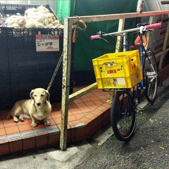 Minikomi - Dumb Bikes & Dogs Dub