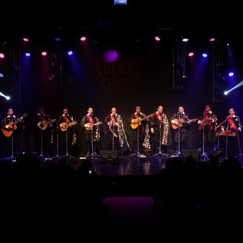 Estudiantina De La Chimba - La Golondrina