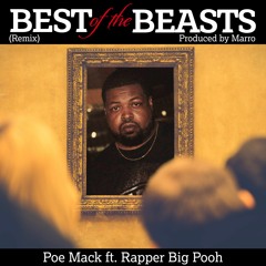 Best Of The Beasts Remix Ft Rapper Big Pooh (poemack.com)