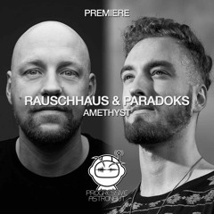 PREMIERE: Rauschhaus & Paradoks - Amethyst (Original Mix) [BeatFreak]