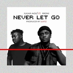 Sugar Mole Ft. Broni - Never Let Go