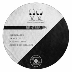 Cojoc & Moldovan - Walksong [STRYD001]
