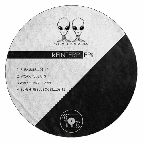 Cojoc & Moldovan - Work It [STRYD001]