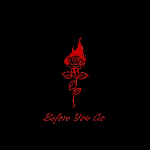 Before You Go