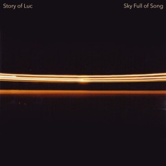 Sky Full Of Song (Cover of Florence + The Machine)