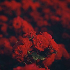 With You [Prod. Huia]